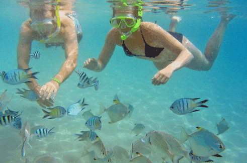 Australian Kayaking Adventures - South Australia Travel 2