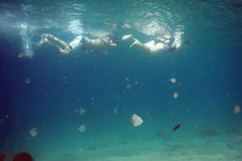 Australian Kayaking Adventures - South Australia Travel 5