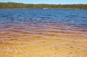 Beach Trekkers North Stradbroke Island - South Australia Travel 1