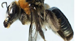 Western Australian Museum - South Australia Travel 0