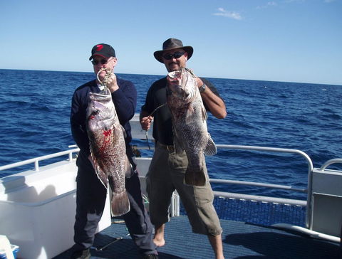 Blue Juice Charters - South Australia Travel 2