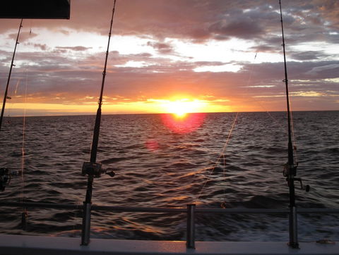 Blue Juice Charters - South Australia Travel 5