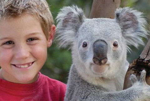 Featherdale Wildlife Park - South Australia Travel 1