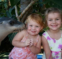 Dolphin Marine Magic - South Australia Travel