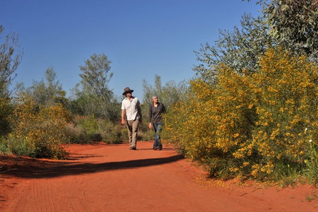 Alice Springs Desert Park - South Australia Travel 3