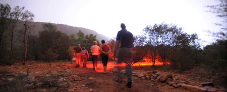 Alice Springs Desert Park - South Australia Travel 4
