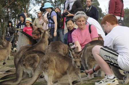East Coast Natureworld - South Australia Travel 4