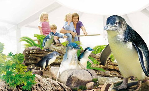 Manly SEA LIFE Sanctuary - South Australia Travel 1