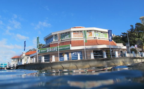 Manly SEA LIFE Sanctuary - South Australia Travel 2