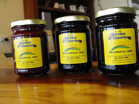 Blue Hills Berries & Cherries - South Australia Travel 1