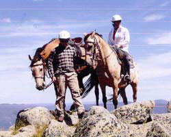 High Country Horses - South Australia Travel 3
