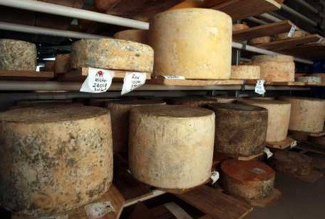 Witches Chase Cheese Co - South Australia Travel 3