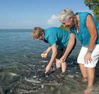 Aquascene Fish Feeding Sanctuary - South Australia Travel