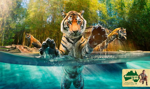 Australia Zoo - South Australia Travel 9