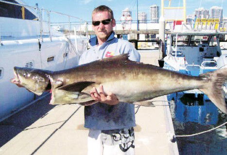 True Blue Fishing Charters - South Australia Travel 0
