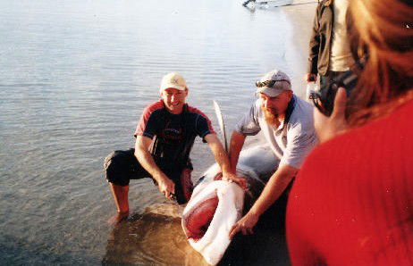 True Blue Fishing Charters - South Australia Travel 1