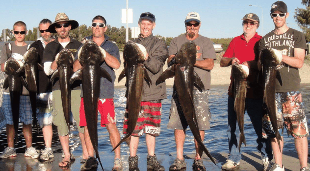 BKs Gold Coast Fishing Charters - South Australia Travel 1