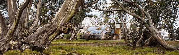 High Country Scenic Tours - South Australia Travel