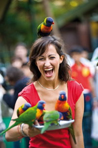 Currumbin Wildlife Sanctuary - South Australia Travel 10