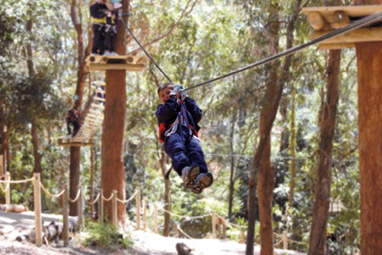 Currumbin Wildlife Sanctuary - South Australia Travel 11
