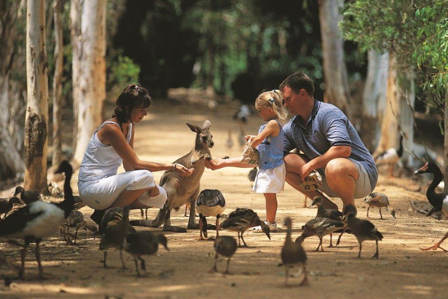 Rowes Bay QLD South Australia Travel