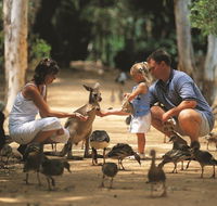 Billabong Sanctuary - South Australia Travel