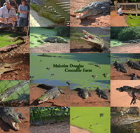 The Malcolm Douglas Crocodile Park - South Australia Travel