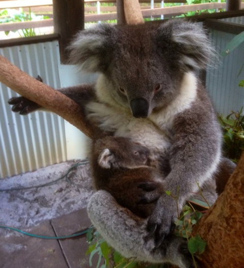 Outback Splash - South Australia Travel 3