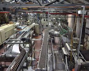 Cascade Brewery Tour - South Australia Travel 2