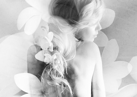 Elysium- A Place Of Beauty - South Australia Travel 1