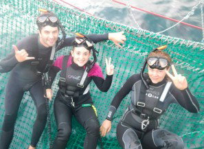 Dolphin Swim Australia - South Australia Travel 7