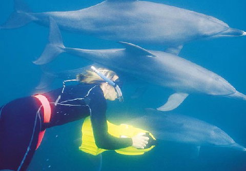 Rockingham Wild Encounters - South Australia Travel 1