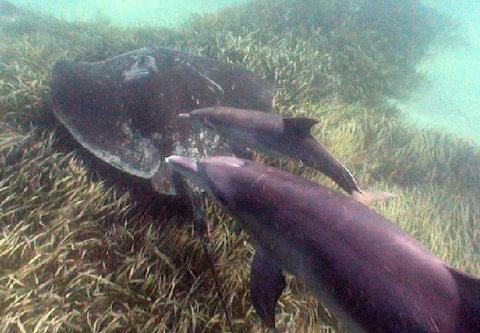 Rockingham Wild Encounters - South Australia Travel 3