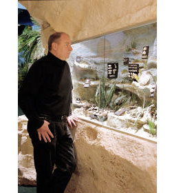 The National Opal Collection - South Australia Travel 5