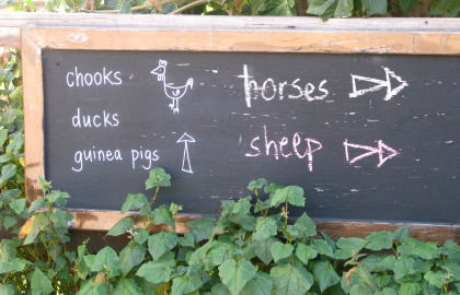Collingwood Children's Farm - South Australia Travel 4