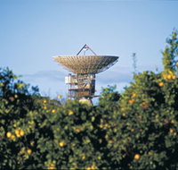 Big Dish - South Australia Travel
