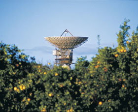 Big Dish - South Australia Travel 0
