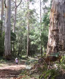  South Australia Travel