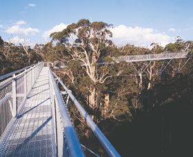  South Australia Travel