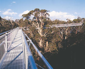 Walpole-Nornalup National Park - South Australia Travel 0