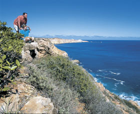 Cape Cuvier Coast - South Australia Travel 0