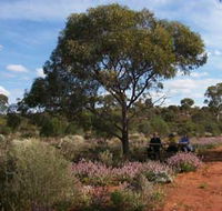 Karlkurla Bushland Park - South Australia Travel
