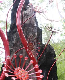 Northcliffe WA South Australia Travel