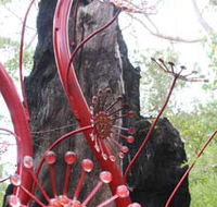 Understory Art In Nature - South Australia Travel