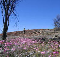 Talgomine Reserve - South Australia Travel