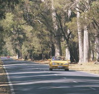 Ludlow Tuart Forest - South Australia Travel
