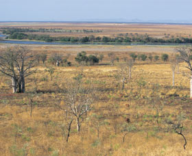 Marglu Billabong - South Australia Travel 0