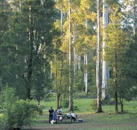Big Brook Arboretum - South Australia Travel