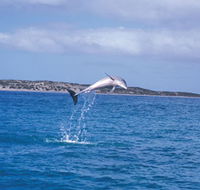 Steep Point - South Australia Travel