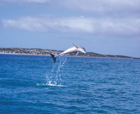 Steep Point - South Australia Travel 0